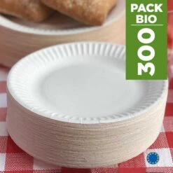 Pack 300 Assiettes Carton 23 Cm Blanches -Vacances Vaisselle Magasin pack 300 assiettes carton 23cm biodegradables blanches 1
