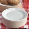 Pack 300 Assiettes Carton 23 Cm Blanches 1 Pack 300 Assiettes Carton 23 Cm Blanches -Vacances Vaisselle Magasin pack 300 assiettes carton 23cm biodegradables blanches