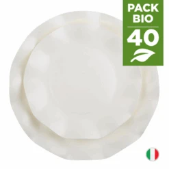 Pack 40 Assiettes Blanches 21 Et 27 Cm