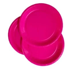 Pack 50 Assiettes Carton Fuchsia 22 Cm