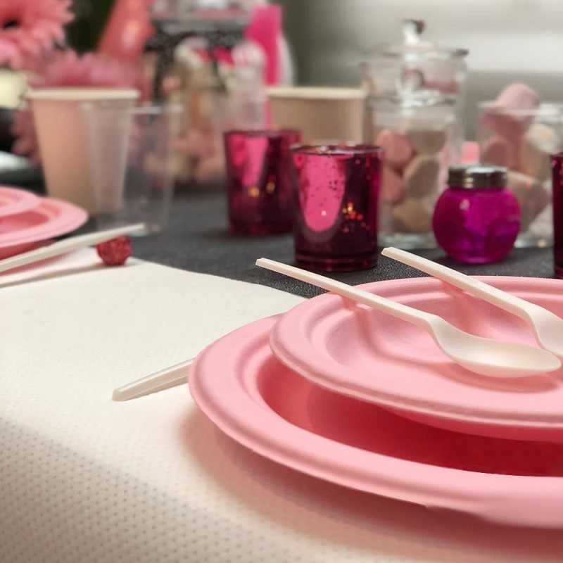 Pack 48 Assiettes Fibres Naturelles Roses 18 Et 23 Cm 4 Pack 48 Assiettes Fibres Naturelles Roses 18 Et 23 Cm – Image 2