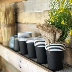 Pack 50 Personnes Basic Noir - 355 Pièces -Vacances Vaisselle Magasin pack 50 personnes basic noir 355 pieces 6