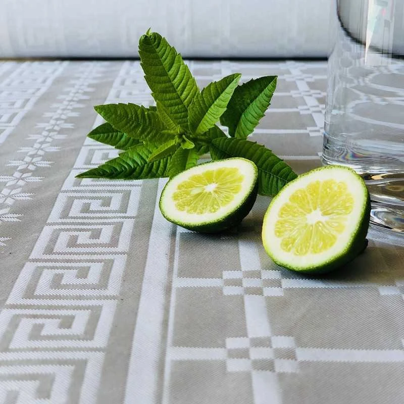 Pack 50 Personnes Nappe + 7 Références Discount 8 Pack 50 Personnes Nappe + 7 Références Discount – Image 6