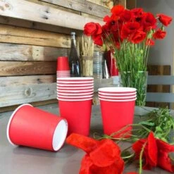 Pack 50 Personnes Promo Rouge 355 Pièces 11 Pack 50 Personnes Promo Rouge 355 Pièces -Vacances Vaisselle Magasin pack 50 personnes promo rouge 355 pieces 2