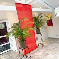 Pack 50 Personnes Promo Rouge 355 Pièces 15 Pack 50 Personnes Promo Rouge 355 Pièces -Vacances Vaisselle Magasin pack 50 personnes promo rouge 355 pieces 6