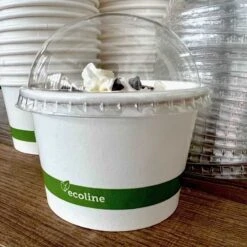 Vacances Vaisselle Magasin 31 Pack 50 Pots à Glace + Couvercles