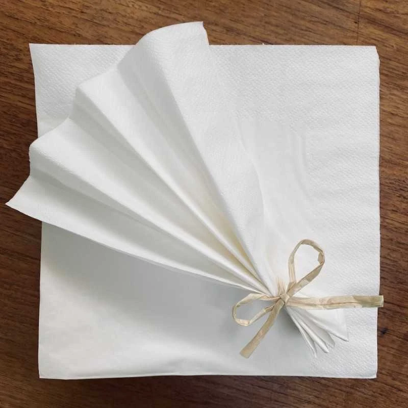 Pack 500 Serviettes Papier Blanc 39 X 39 Cm 2 Plis 3 Pack 500 Serviettes Papier Blanc 39 X 39 Cm 2 Plis