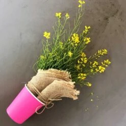 Pack 100 Gobelets Carton Fuchsia 21 Cl -Vacances Vaisselle Magasin pack 75 gobelets carton fuchsia 25 gratuits 2