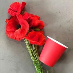 Pack 100 Gobelets Carton Rouges 21 Cl -Vacances Vaisselle Magasin pack 75 gobelets carton jaune 25 gratuits 2