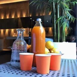 Pack 100 Gobelets Carton Mandarine 21 Cl 12 Pack 100 Gobelets Carton Mandarine 21 Cl -Vacances Vaisselle Magasin pack 75 gobelets carton mandarine 25 gratuits 1