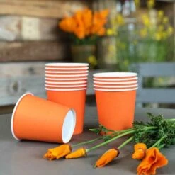 Pack 100 Gobelets Carton Mandarine 21 Cl 13 Pack 100 Gobelets Carton Mandarine 21 Cl -Vacances Vaisselle Magasin pack 75 gobelets carton mandarine 25 gratuits 2