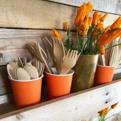 Pack 100 Gobelets Carton Mandarine 21 Cl 14 Pack 100 Gobelets Carton Mandarine 21 Cl -Vacances Vaisselle Magasin pack 75 gobelets carton mandarine 25 gratuits 3