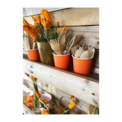 Pack 100 Gobelets Carton Mandarine 21 Cl 18 Pack 100 Gobelets Carton Mandarine 21 Cl -Vacances Vaisselle Magasin pack 75 gobelets carton mandarine 25 gratuits 7