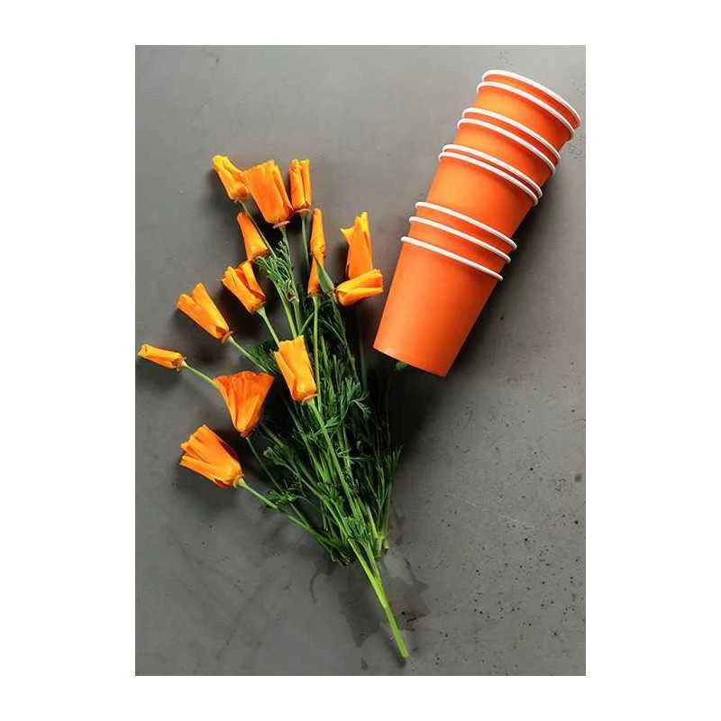 Pack 100 Gobelets Carton Mandarine 21 Cl 11 Pack 100 Gobelets Carton Mandarine 21 Cl – Image 9