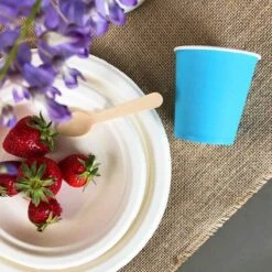 Pack 100 Gobelets Carton Turquoise 21 Cl 11 Pack 100 Gobelets Carton Turquoise 21 Cl -Vacances Vaisselle Magasin pack 75 gobelets carton turquoise 25 gratuits 4