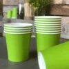 Pack 100 Gobelets En Carton Verts Anis 21 Cl -Vacances Vaisselle Magasin pack 75 gobelets en carton verts anis 25 gratuits