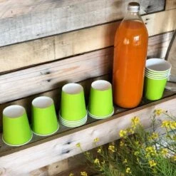 Pack 100 Gobelets En Carton Verts Anis 21 Cl -Vacances Vaisselle Magasin pack 75 gobelets en carton verts anis 25 gratuits 2