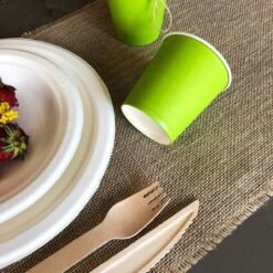 Pack 100 Gobelets En Carton Verts Anis 21 Cl -Vacances Vaisselle Magasin pack 75 gobelets en carton verts anis 25 gratuits 3