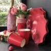 Pack Rouge 40 Assiettes + 20 Gobelets -Vacances Vaisselle Magasin pack rouge 100 bio 40 assiettes 20 gobelets biodegradables et compostables
