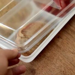 50 Plateaux Repas + Couvercles -Vacances Vaisselle Magasin plateau repas et couvercle recyclable reutilisable par 50 2