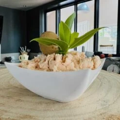 8 Verrines Coupelles Carrées Plastique Réutilisable Blanc 9 Cl -Vacances Vaisselle Magasin product 159