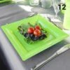12 Assiettes Carrées Vert Anis 21,5 Cm -Vacances Vaisselle Magasin product 180