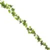Guirlande De Lierre 190 Cm 1 Guirlande De Lierre 190 Cm -Vacances Vaisselle Magasin product 242