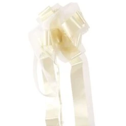 Noeud Automatique En Tulle Pans Longs Ivoire