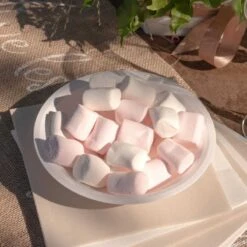 10 Assiettes Coupelles Creuses Rondes Plastique Blanc 19,5 Cm 6 10 Assiettes Coupelles Creuses Rondes Plastique Blanc 19,5 Cm -Vacances Vaisselle Magasin product 349