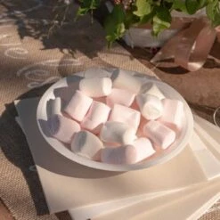 10 Assiettes Coupelles Creuses Rondes Plastique Blanc 19,5 Cm 7 10 Assiettes Coupelles Creuses Rondes Plastique Blanc 19,5 Cm -Vacances Vaisselle Magasin product 350