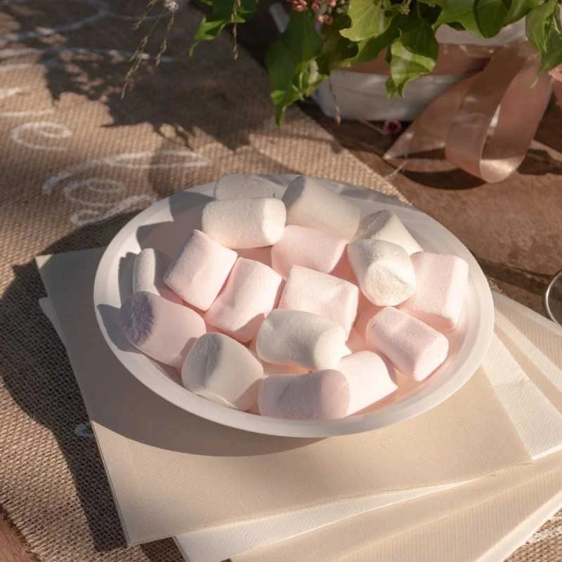 10 Assiettes Coupelles Creuses Rondes Plastique Blanc 19,5 Cm 5 10 Assiettes Coupelles Creuses Rondes Plastique Blanc 19,5 Cm â Image 3