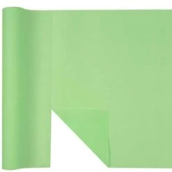 Chemin De Table Non-tissé Premium Mint 4,8 M Table'Colors