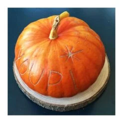 Rondin En Bois Naturel Centre De Table 30 Cm -Vacances Vaisselle Magasin rondin bois 30 cm 3