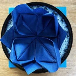 50 Serviettes élégance Non-tissées Bleu Marine 40 X 40 Cm -Vacances Vaisselle Magasin serviette en non tisse bleu marine 40 x 40cm 3