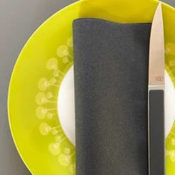 50 Serviettes élégance Non-tissées Gris Titane 40 X 40 Cm -Vacances Vaisselle Magasin serviette en non tisse gris titane 40 x 40cm 3