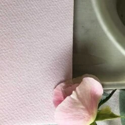 50 Serviettes élégance Non-tissées Rose Poudre 40 X 40 Cm 12 50 Serviettes élégance Non-tissées Rose Poudre 40 X 40 Cm -Vacances Vaisselle Magasin serviette en non tisse rose poudre 40 x 40cm 3