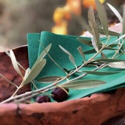 50 Serviettes élégance Non-tissées Vert Sapin 40 X 40 Cm -Vacances Vaisselle Magasin serviette en non tisse vert sapin 40 x 40cm 3