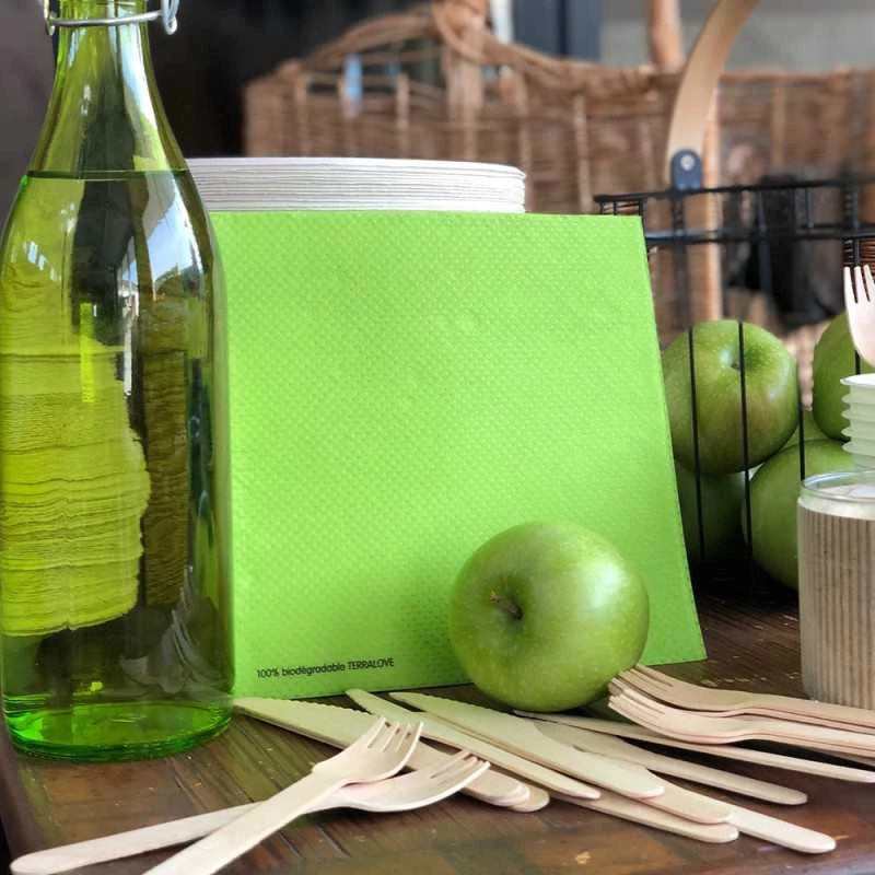 40 Serviettes Vertes Ethik Nature 40 X 40 Cm 5 40 Serviettes Vertes Ethik Nature 40 X 40 Cm – Image 3